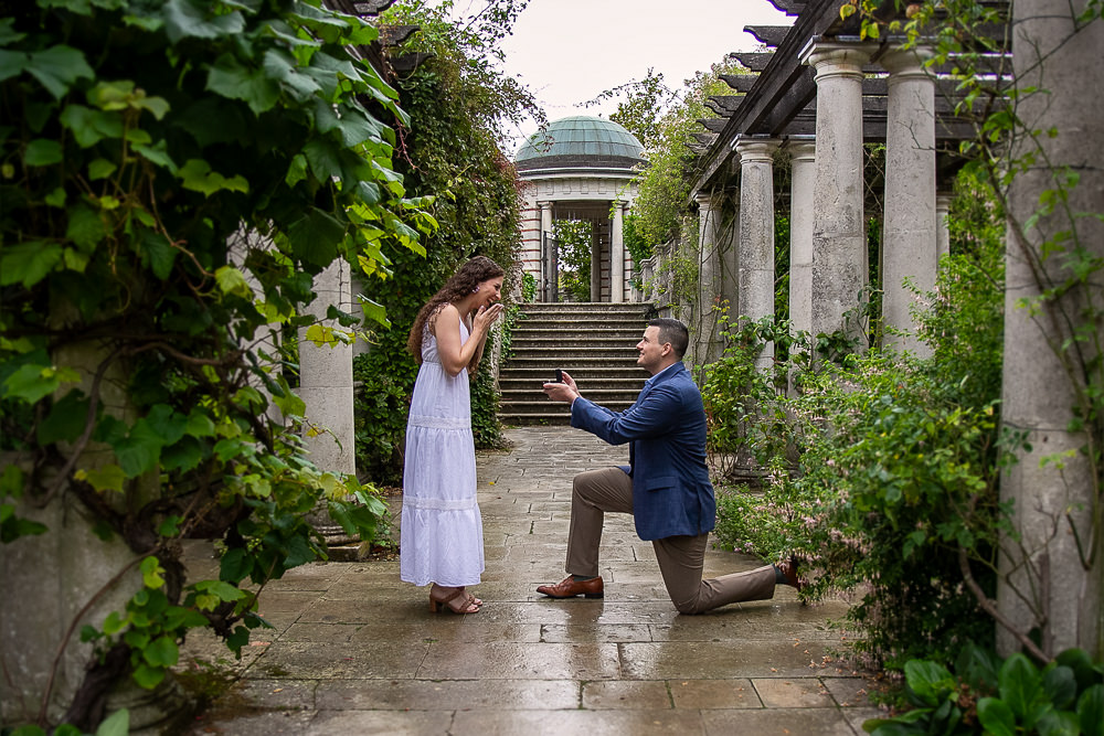 Surprise marriage proposal gallery in London