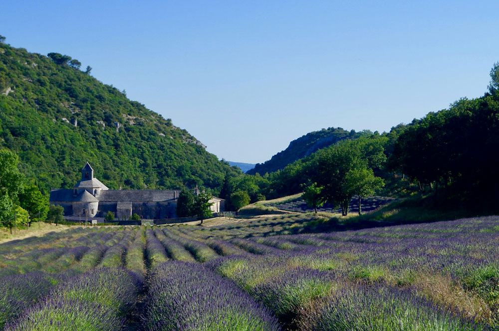 South of France Vacations for Couples - Provence