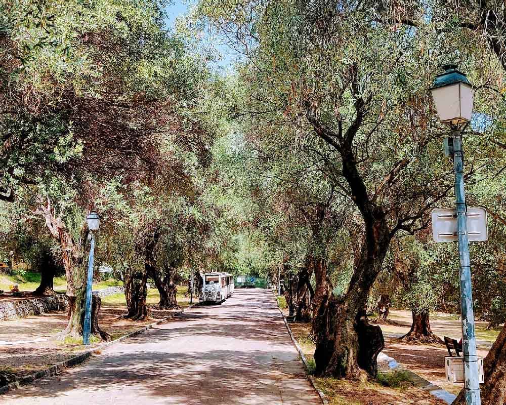 Parc du Pian, Menton