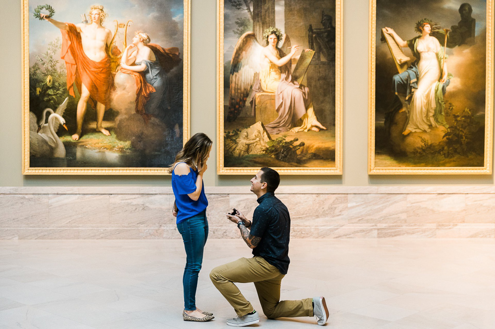 Proposal Ideas - Museum surprise proposal ideas