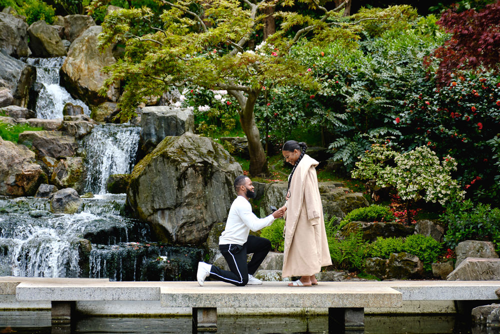 Surprise proposal in kyoto garden