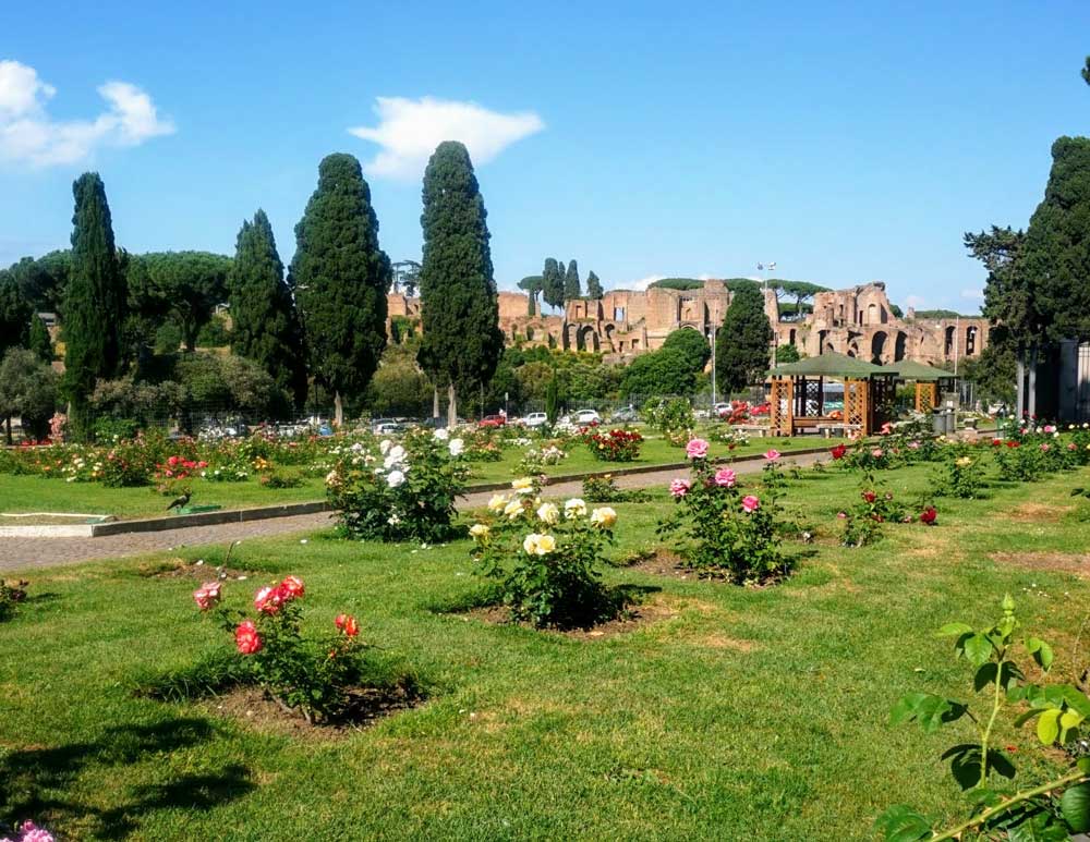 Rome’s Rose Garden