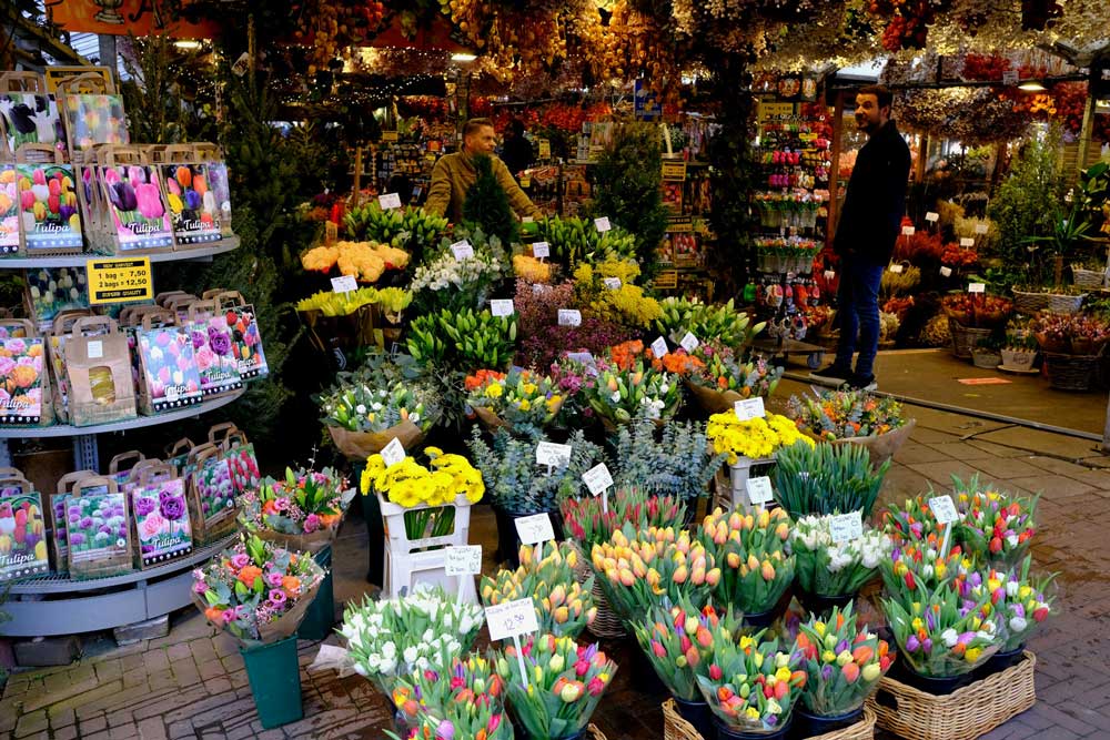 Flowers in Bloemenmarkt - The Flower Market in Amsterdam