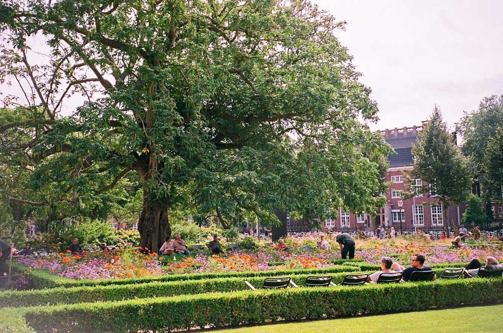 Rijksmuseum Gardens